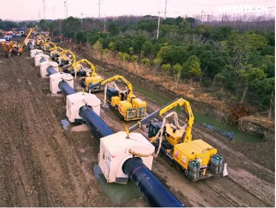 我國(guó)重要的能源大通道——中俄東線天然氣管道工程于2024年11月18日全線完工。在該項(xiàng)目的建設(shè)過(guò)程中，舞鋼公司供應(yīng)的X80（D1422毫米×57毫米）管線鋼，是目前國(guó)內(nèi)應(yīng)用在工程項(xiàng)目上厚度、管徑、技術(shù)難度均實(shí)現(xiàn)突破的管線鋼。生產(chǎn)該類管線鋼，不僅厚度規(guī)格以前從來(lái)沒(méi)有嘗試過(guò)，而且技術(shù)條件中的沖擊試驗(yàn)溫度也由零下30攝氏度降至零下45攝氏度，沖擊功值卻由70焦耳提升到135焦耳，超出國(guó)家標(biāo)準(zhǔn)95焦耳。舞鋼公司對(duì)鋼種成分及生產(chǎn)工藝進(jìn)行優(yōu)化，確保了各項(xiàng)指標(biāo)全部?jī)?yōu)于客戶要求，實(shí)現(xiàn)大批量供貨。 