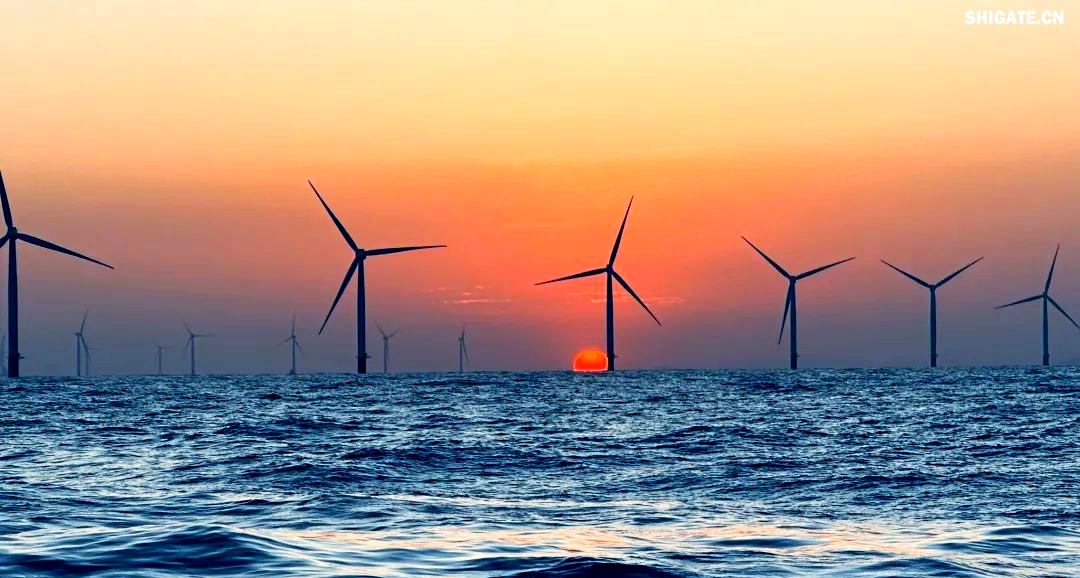 舞鋼公司得知大唐南澳勒門I海上風(fēng)電擴建項目的信息后，迅速組建了一支專門針對該項目的海上風(fēng)電鋼攻關(guān)團隊。該團隊由銷售、科技、生產(chǎn)、質(zhì)量等部門的杰出人才組成，目的是克服該項目鋼板單重大、生產(chǎn)難度高的挑戰(zhàn)，為營銷系統(tǒng)提供全面的支援。團隊與設(shè)計院、施工單位和業(yè)主進行了深入的交流和討論，針對生產(chǎn)過程中遇到的難題，與相關(guān)方進行了多輪討論，并制定了專門的生產(chǎn)技術(shù)方案，以加快交貨速度，滿足施工需求，節(jié)約施工成本，最終贏得了客戶的認可。在生產(chǎn)過程中，舞鋼公司精心組織，全力以赴推進合同生產(chǎn)，確保了訂單的高質(zhì)量和及時交付，為項目的建設(shè)提供了堅強的支持。