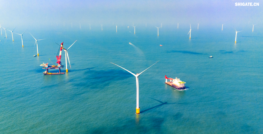 舞鋼公司得知大唐南澳勒門I海上風(fēng)電擴建項目的信息后，迅速組建了一支專門針對該項目的海上風(fēng)電鋼攻關(guān)團隊。該團隊由銷售、科技、生產(chǎn)、質(zhì)量等部門的杰出人才組成，目的是克服該項目鋼板單重大、生產(chǎn)難度高的挑戰(zhàn)，為營銷系統(tǒng)提供全面的支援。團隊與設(shè)計院、施工單位和業(yè)主進行了深入的交流和討論，針對生產(chǎn)過程中遇到的難題，與相關(guān)方進行了多輪討論，并制定了專門的生產(chǎn)技術(shù)方案，以加快交貨速度，滿足施工需求，節(jié)約施工成本，最終贏得了客戶的認可。在生產(chǎn)過程中，舞鋼公司精心組織，全力以赴推進合同生產(chǎn)，確保了訂單的高質(zhì)量和及時交付，為項目的建設(shè)提供了堅強的支持。